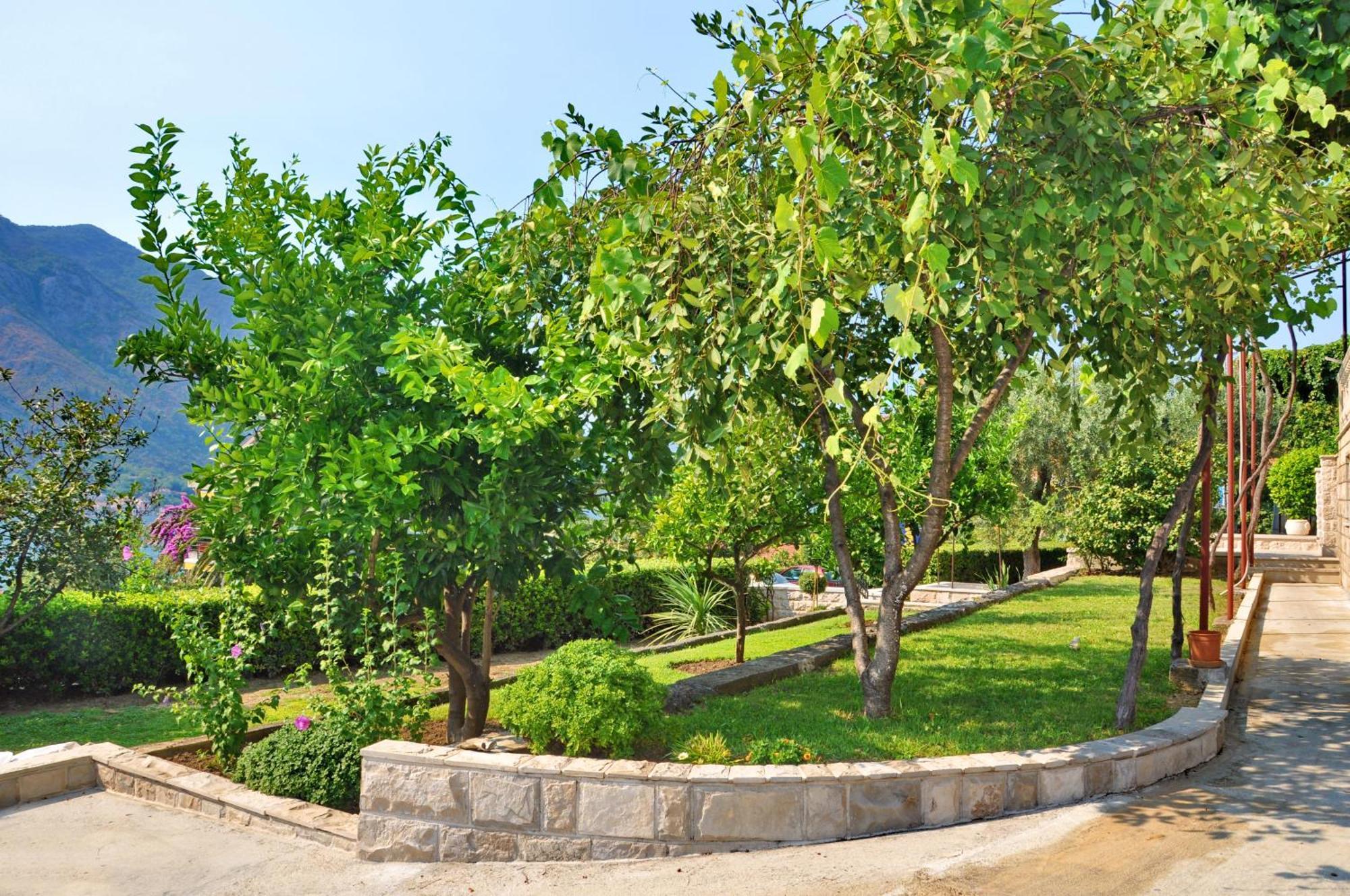 Apartmani Cetkovic Cattaro Esterno foto